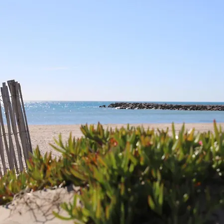 T2 La Dolce Acces Prive 1 Ere Ligne Palavas-les-Flots